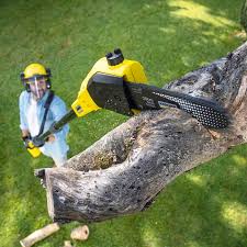 Best Artificial Turf Installation  in Derwood, MD